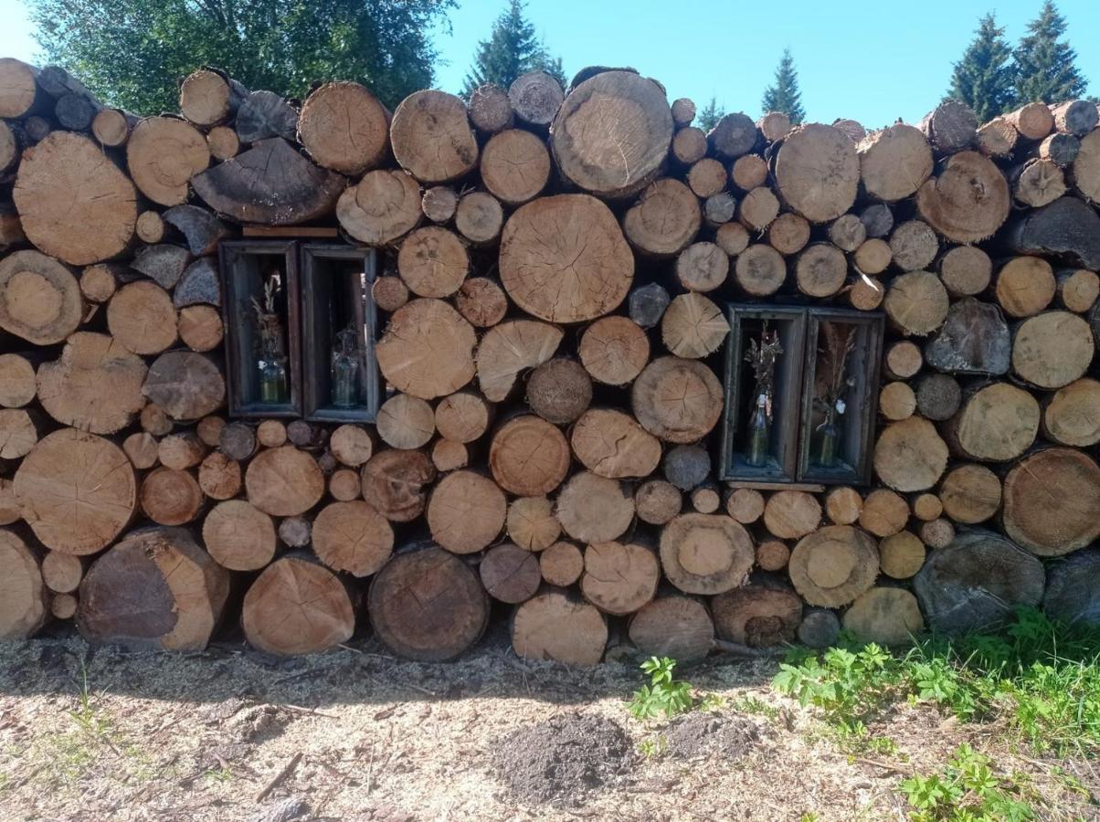Hajenka Knizeci Plane Borová Lada Exterior foto